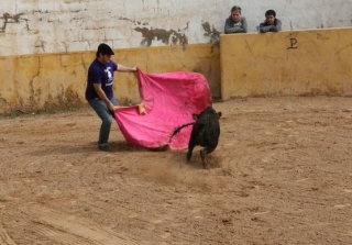 toreando en la plaza